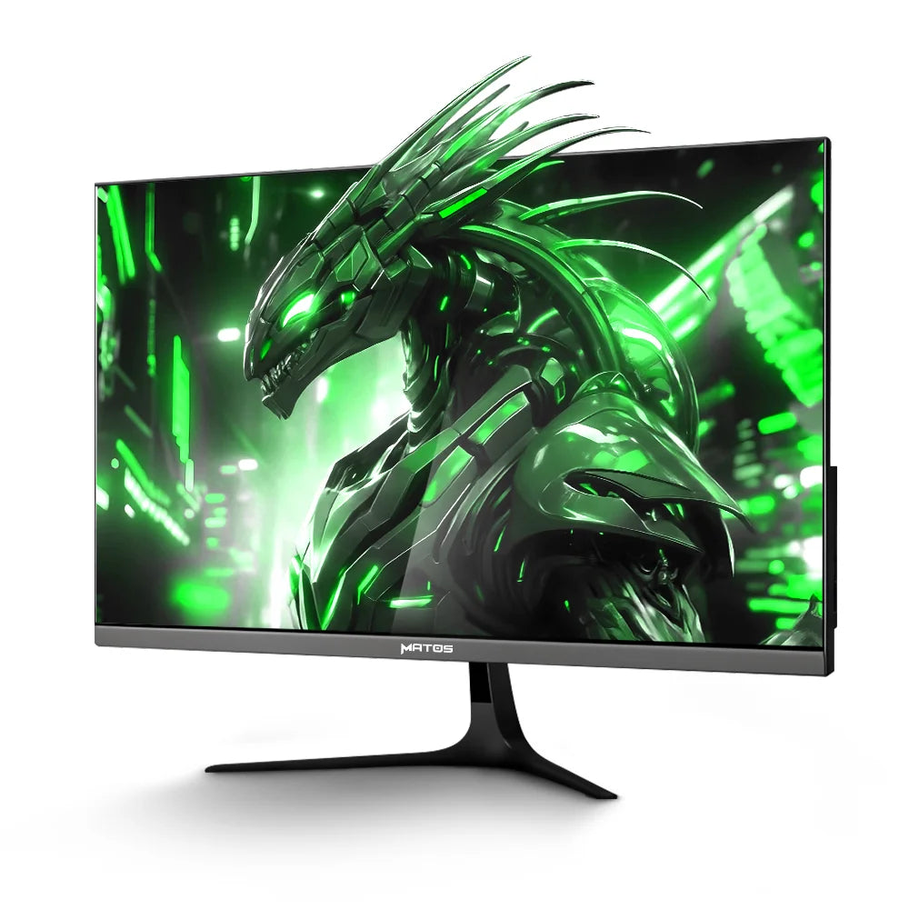 ECRAN MATOS 24.5'' RAPTOR MSG300 FHD /FAST IPS /300HZ/ 0.5MS