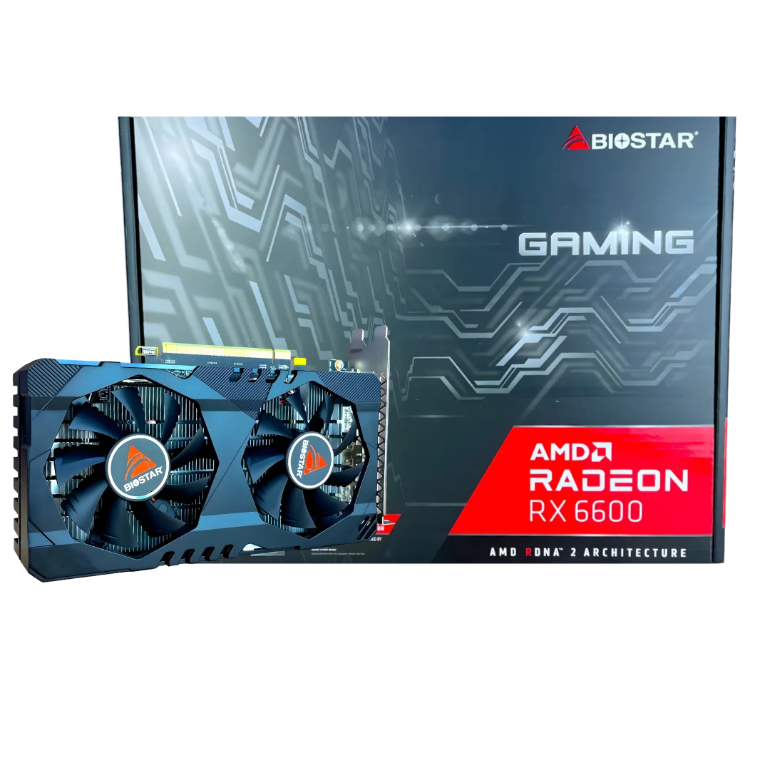 CARTE GRAPHIQUE BIOSTAR RX6600 8GB GDDR6